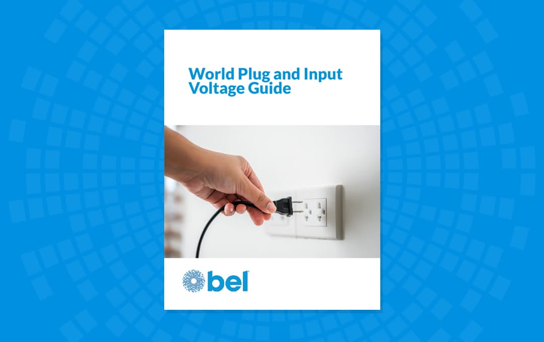 World Plug and Input Voltage Guide